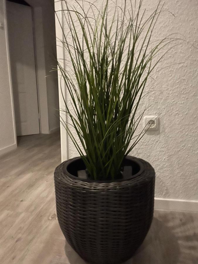 Apartamento Haus Mariechen Hooksiel Exterior foto